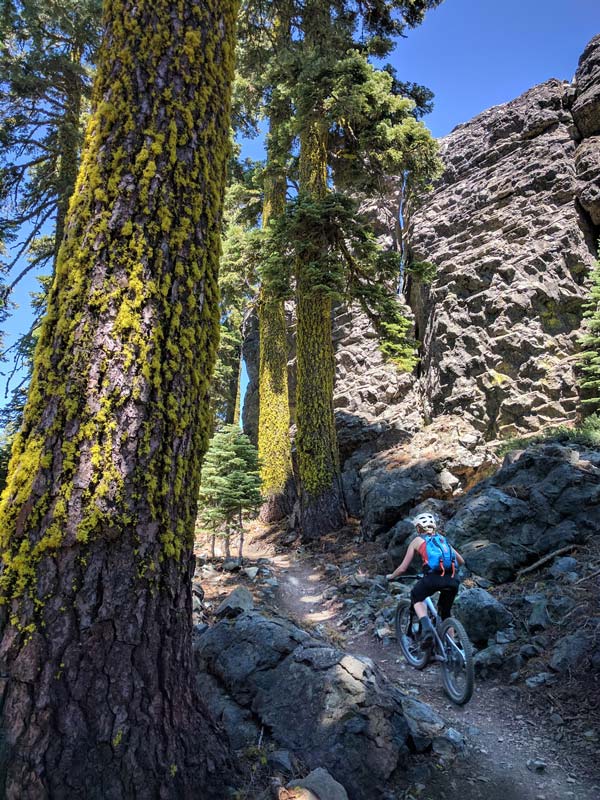 Climbing Mills Peak Trail